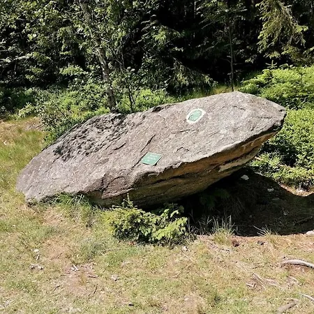 Apartment Fuer Familien Im Bayrischen Wald Sankt Englmar