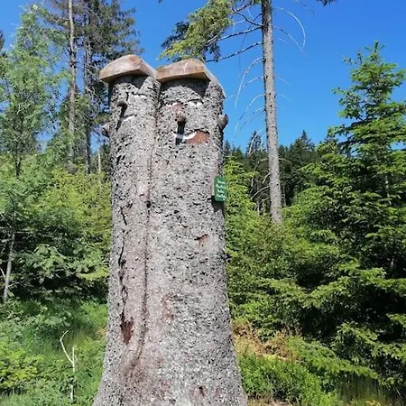 Apartment Fuer Familien Im Bayrischen Wald